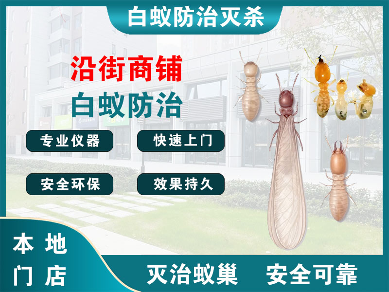 嵊州沿街商铺白蚁防治