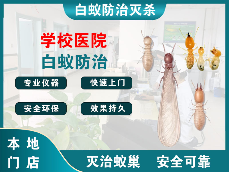 嵊州学校医院白蚁防治