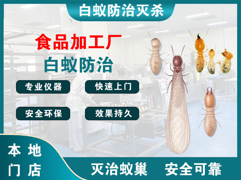 嵊州食品加工厂白蚁防治