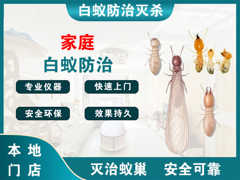 嵊州家庭白蚁防治