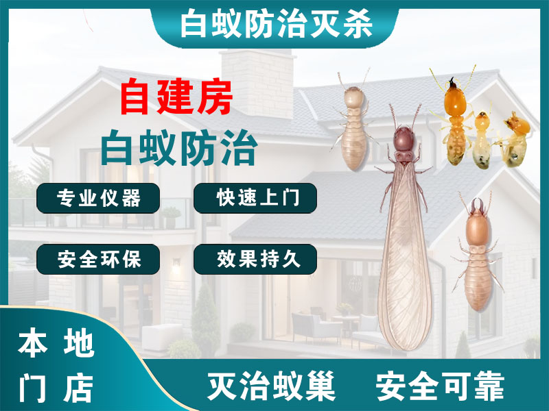嵊州自建房白蚁防治