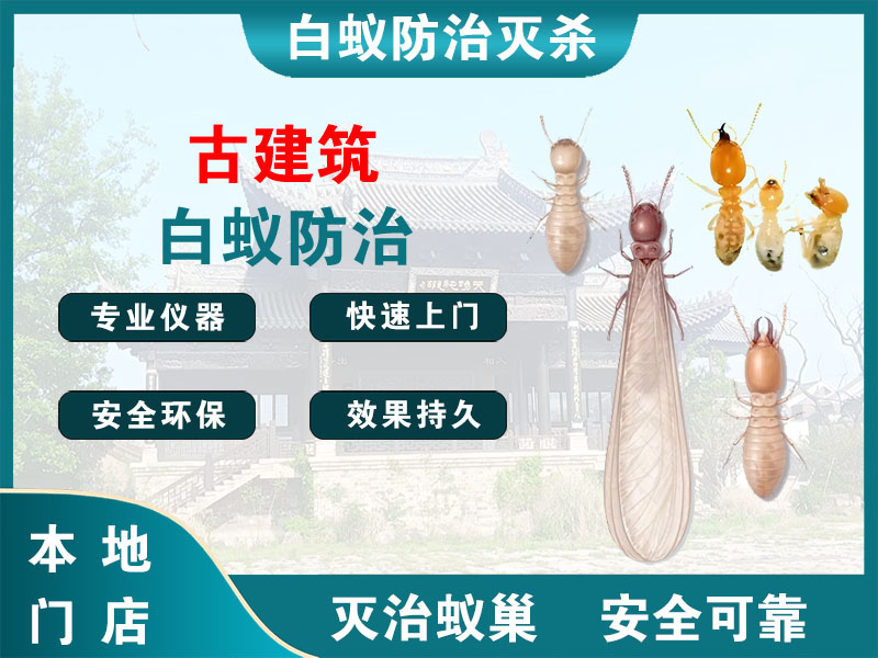嵊州古建筑白蚁防治