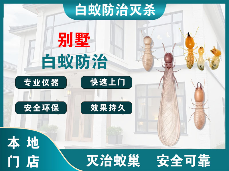 嵊州别墅白蚁防治