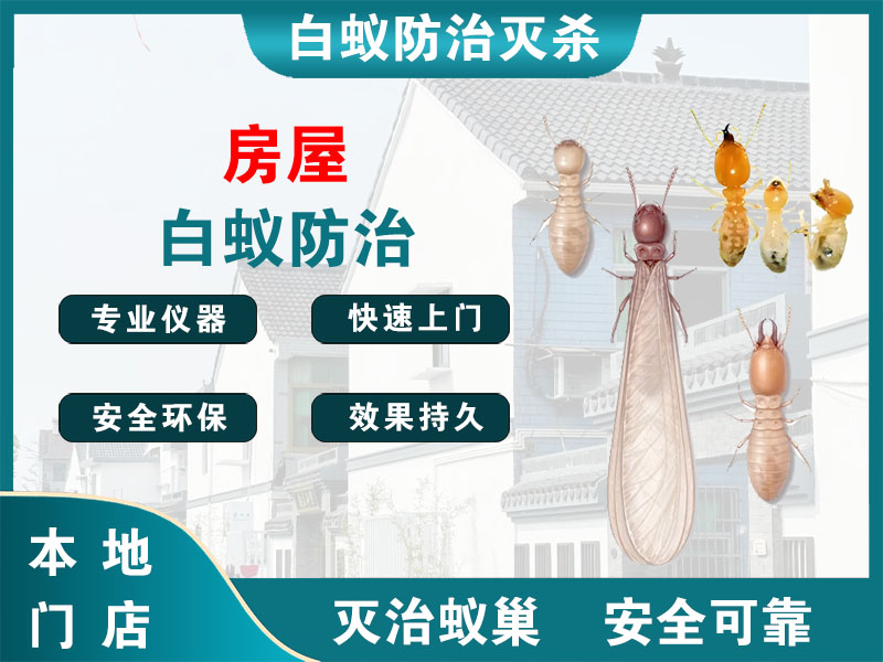 嵊州房屋白蚁防治